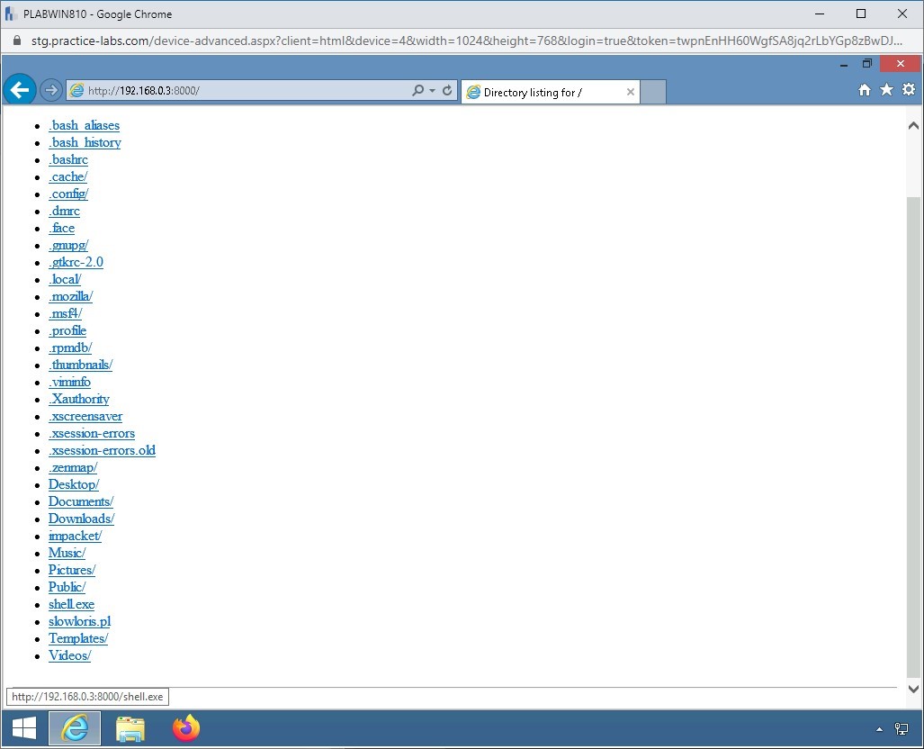 Figure 1.23 Screenshot of PLABWIN810