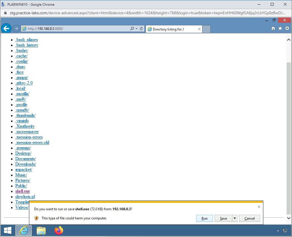 Figure 1.24 Screenshot of PLABWIN810