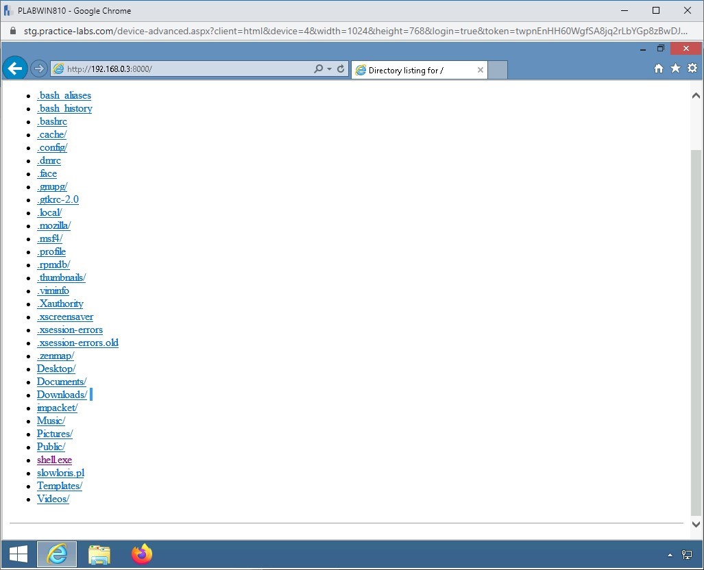 Figure 1.25 Screenshot of PLABWIN810