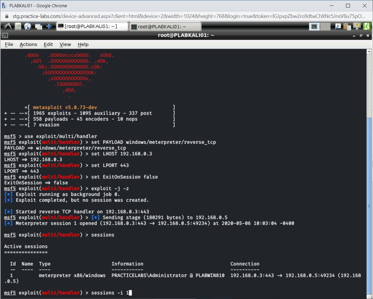 Figure 1.29 Screenshot of PLABKALI01