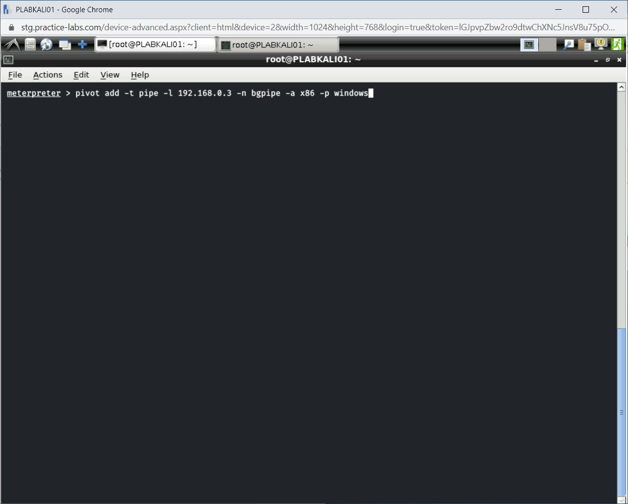 Figure 1.30 Screenshot of PLABKALI01
