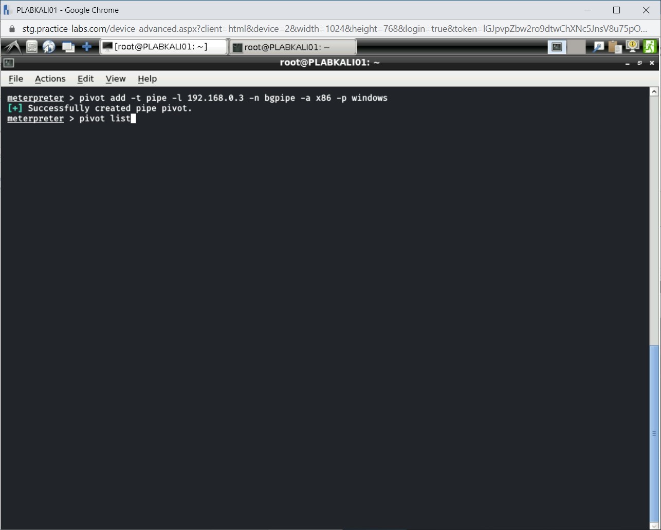 Figure 1.31 Screenshot of PLABKALI01