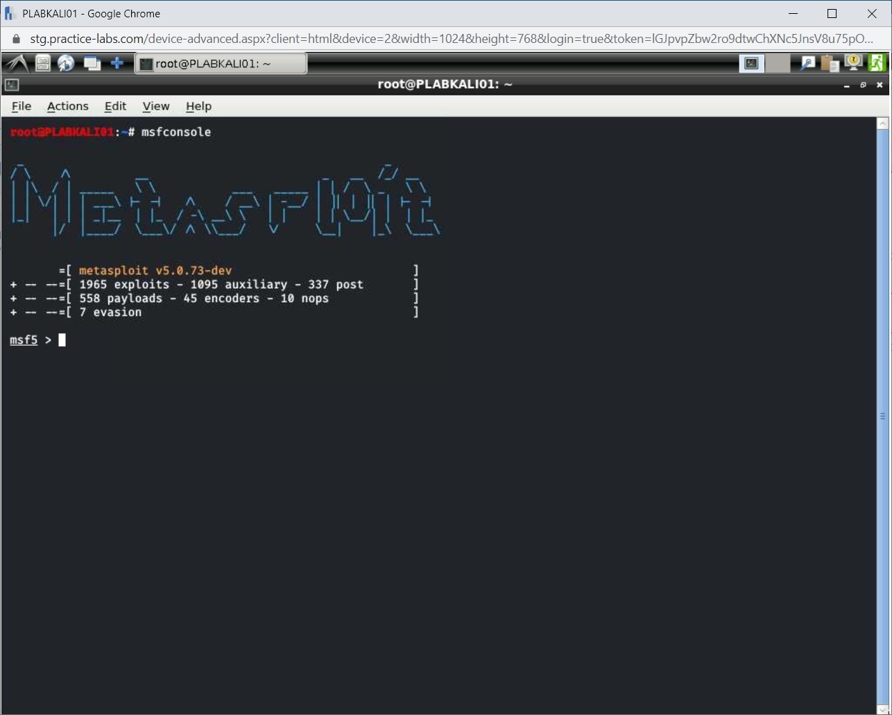 Figure 1.33 Screenshot of PLABKALI01