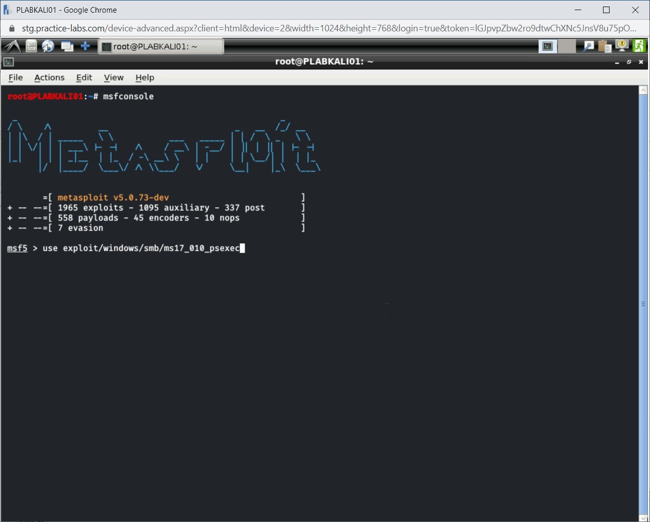 Figure 1.34 Screenshot of PLABKALI01