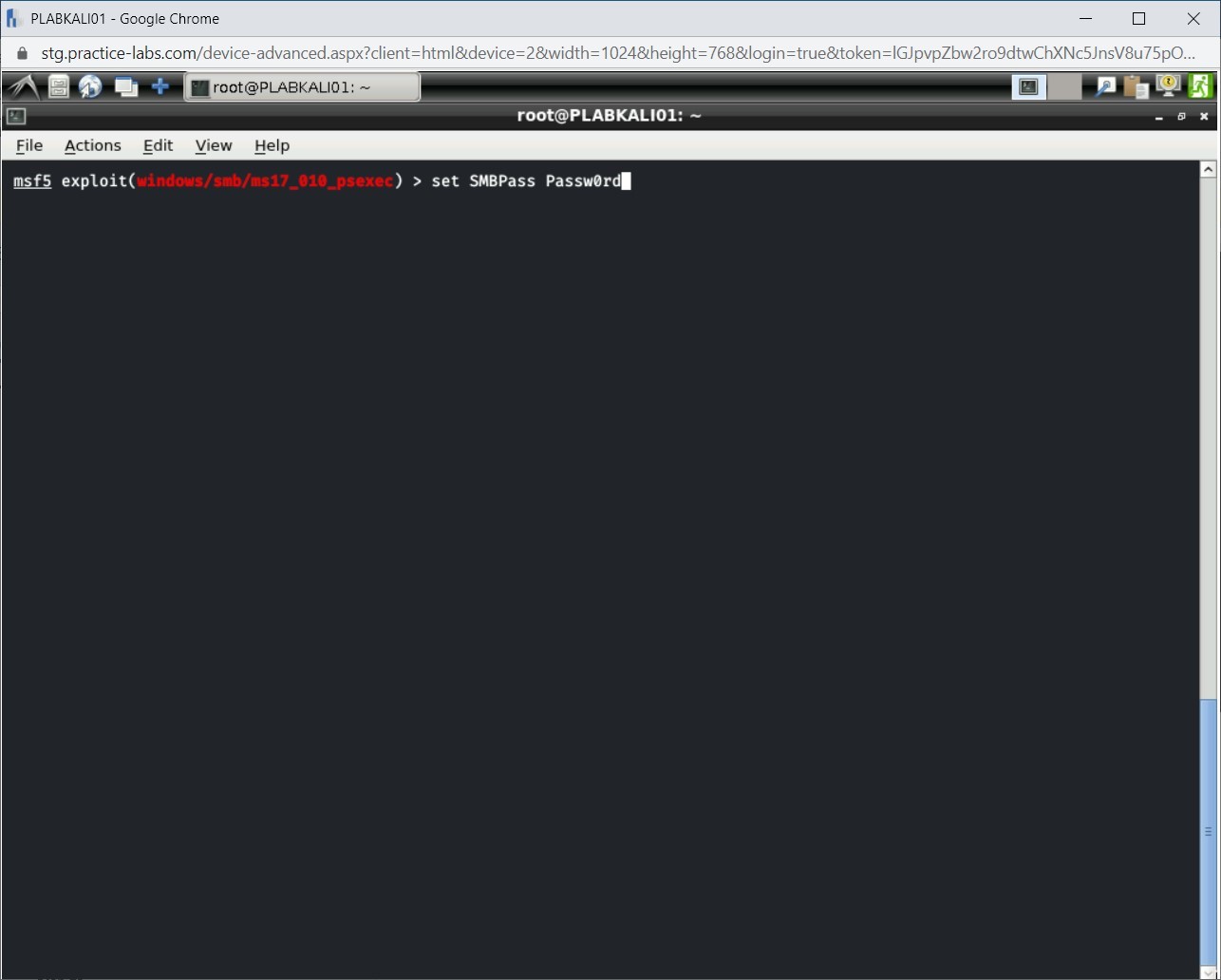 Figure 1.37 Screenshot of PLABKALI01