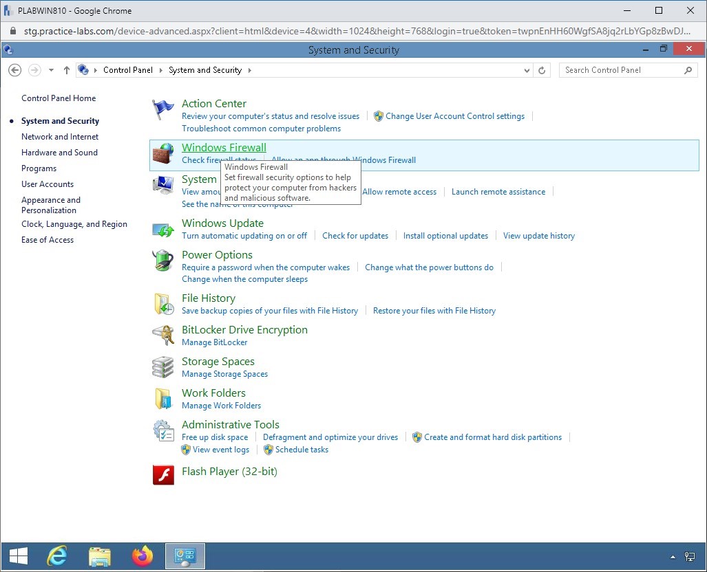 Figure 1.3 Screenshot of PLABWIN810