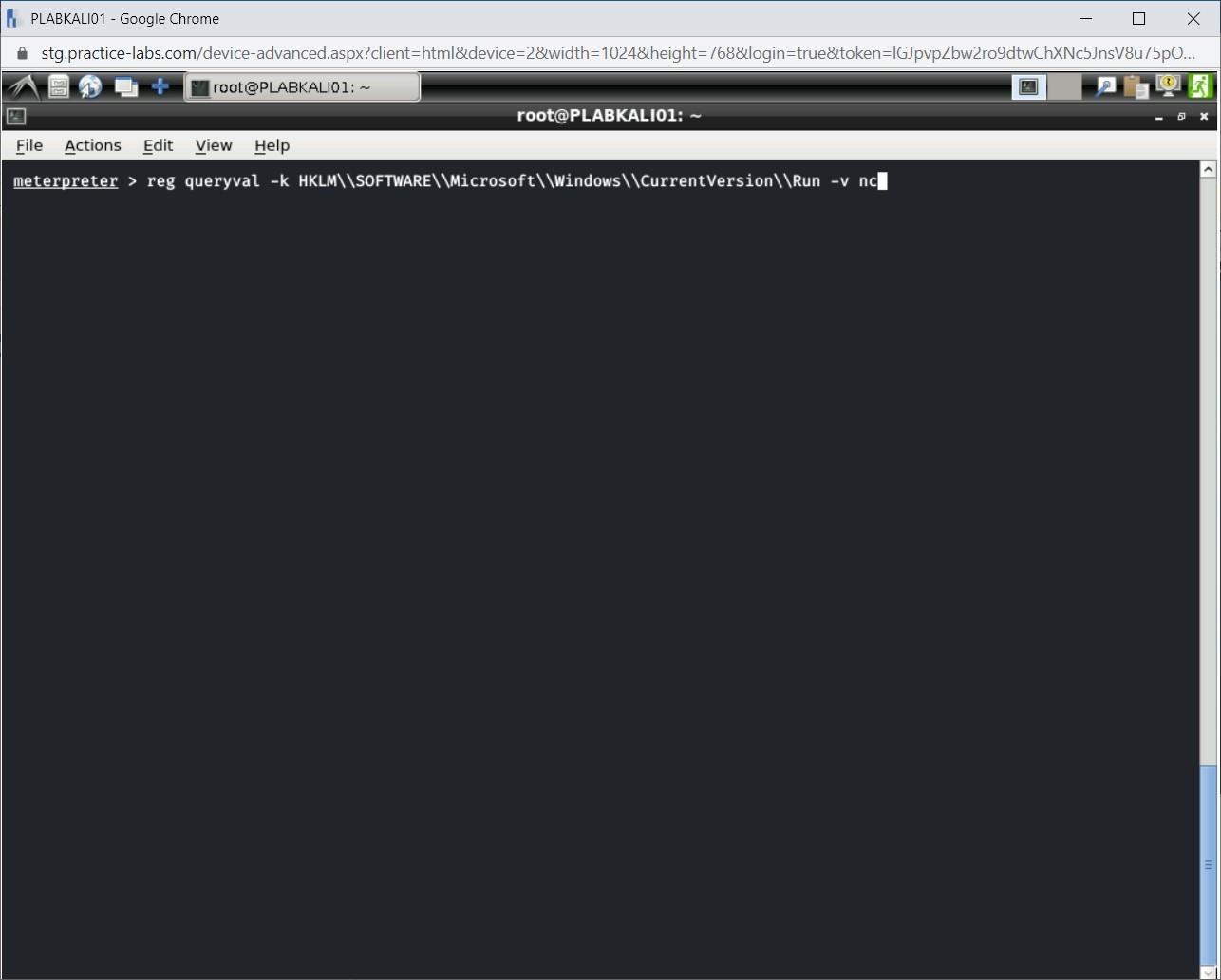 Figure 1.44 Screenshot of PLABKALI01