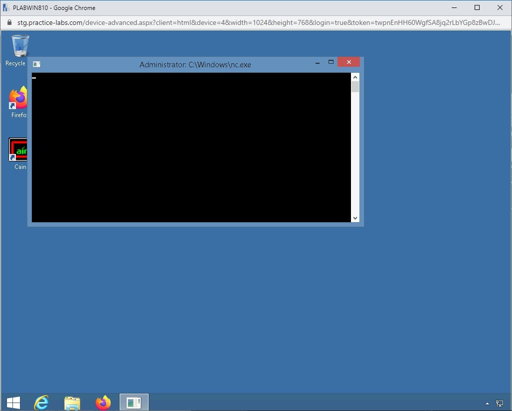 Figure 1.49 Screenshot of PLABWIN810