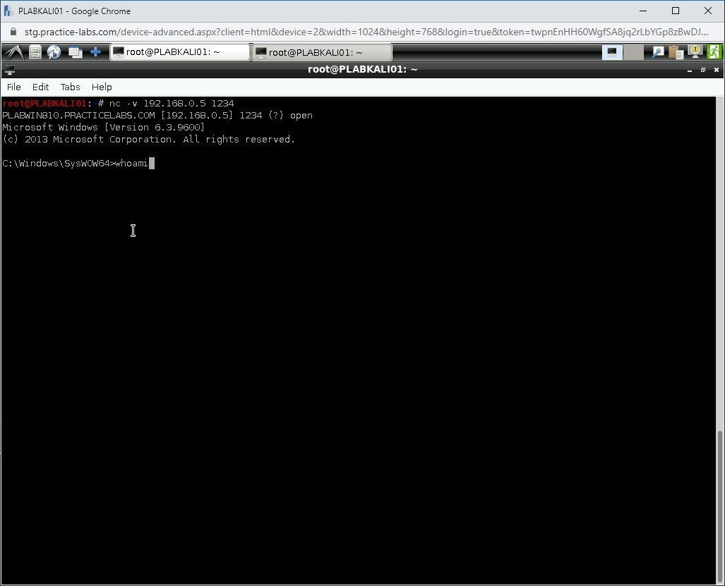 Figure 1.56Screenshot of PLABKALI01