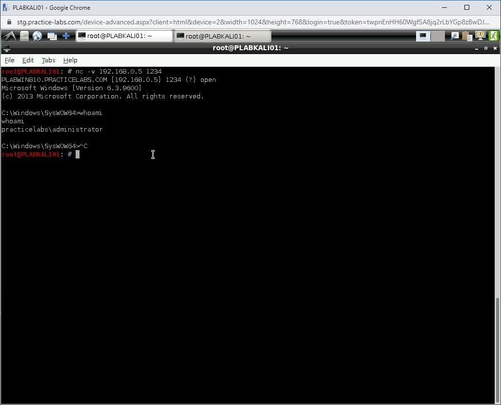 Figure 1.58 Screenshot of PLABKALI01