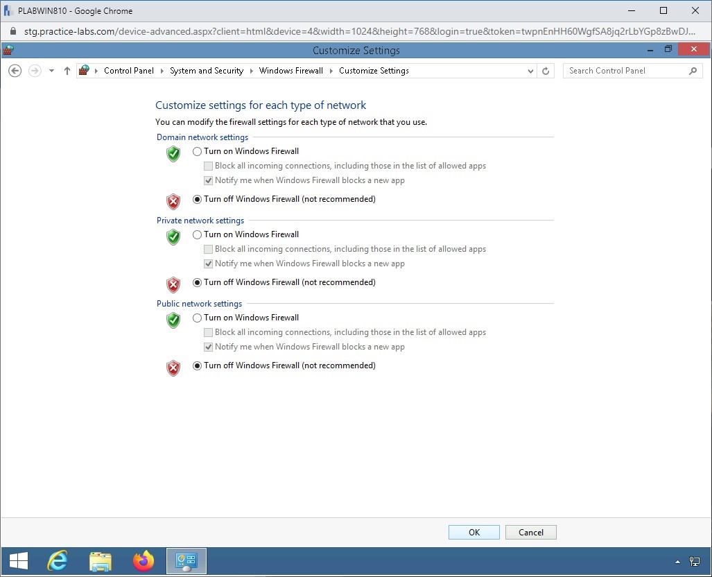 Figure 1.5 Screenshot of PLABWIN810