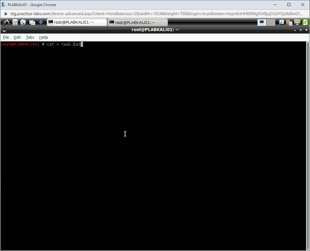 Figure 1.59 Screenshot of PLABKALI01