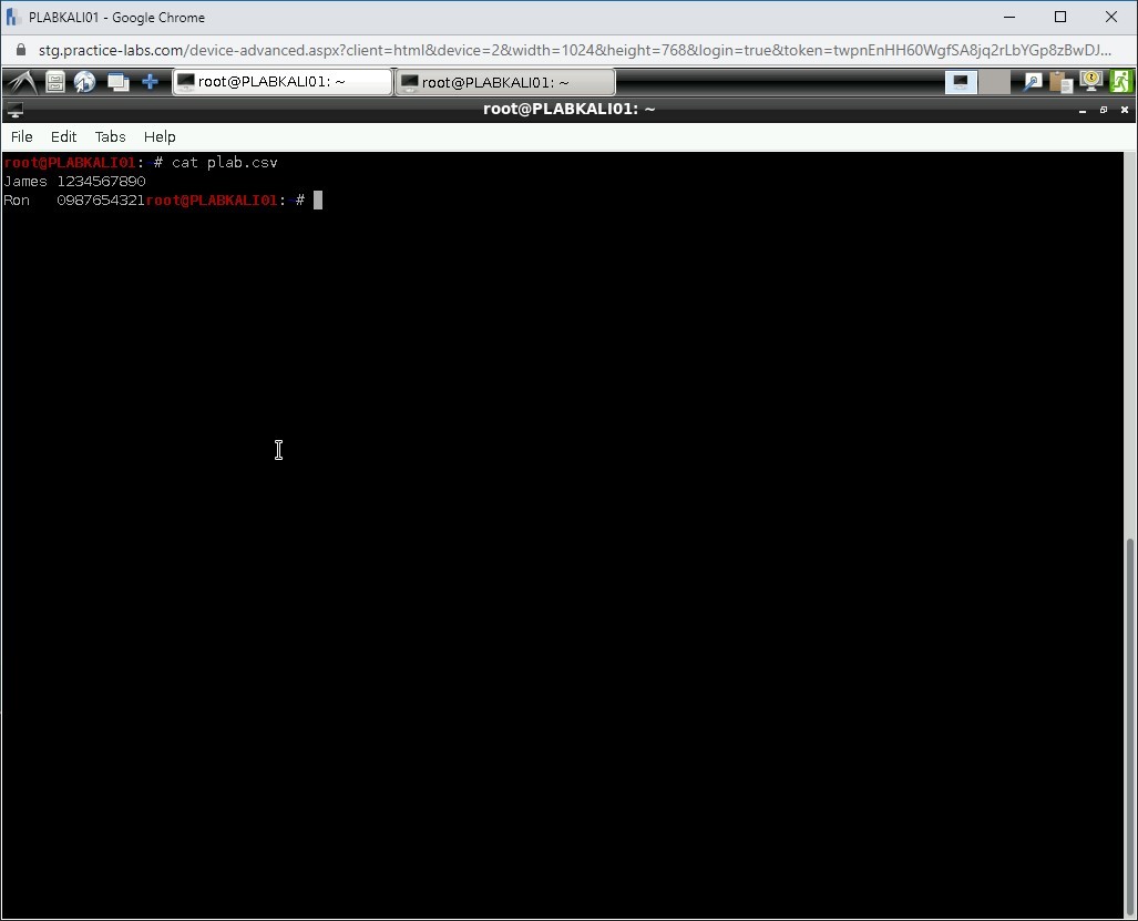 Figure 1.70 Screenshot of PLABKALI01