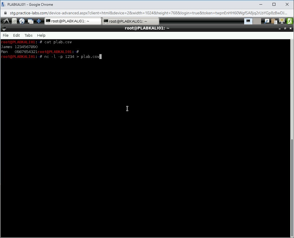 Figure 1.72 Screenshot of PLABKALI01