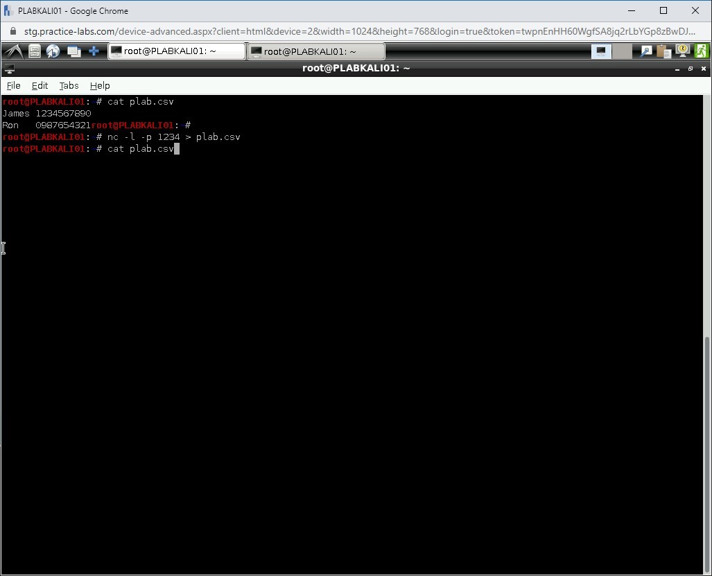 Figure 1.73 Screenshot of PLABKALI01