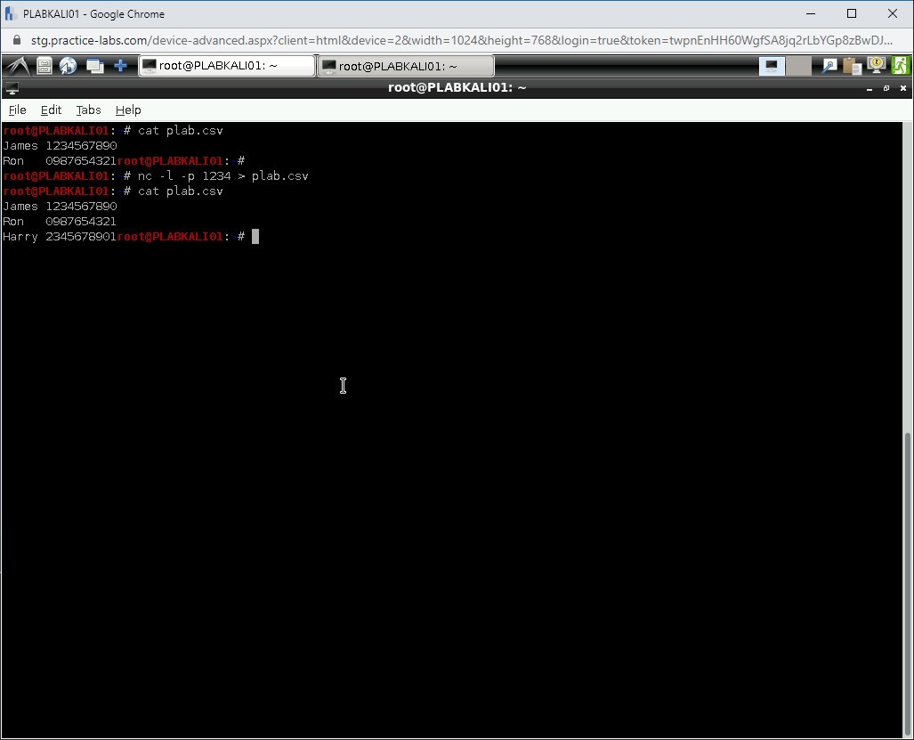 Figure 1.74 Screenshot of PLABKALI01