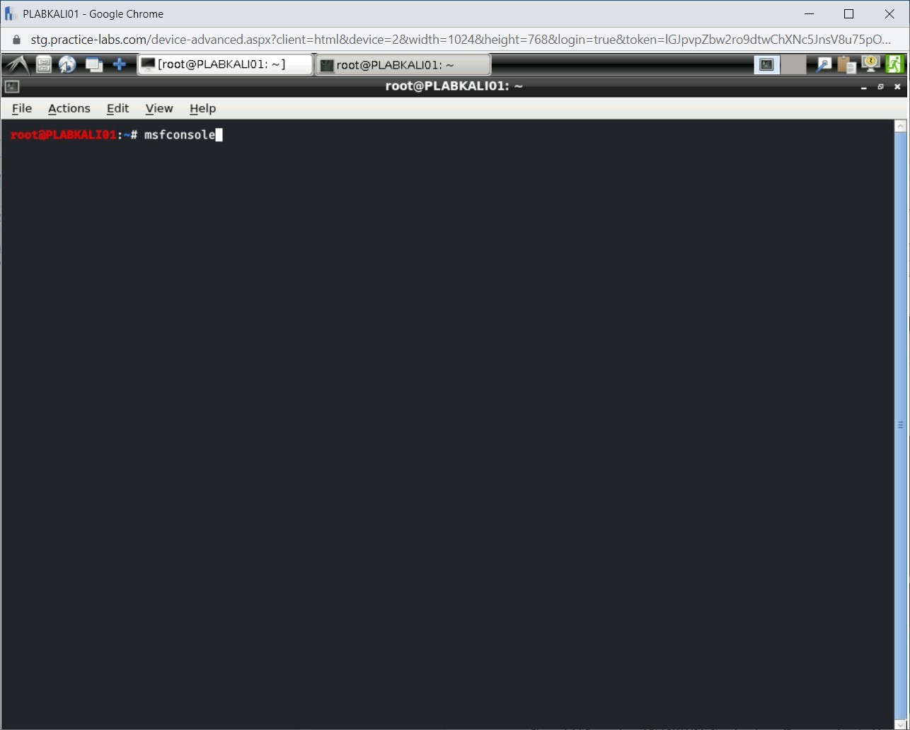Figure 1.9 Screenshot of PLABKALI01