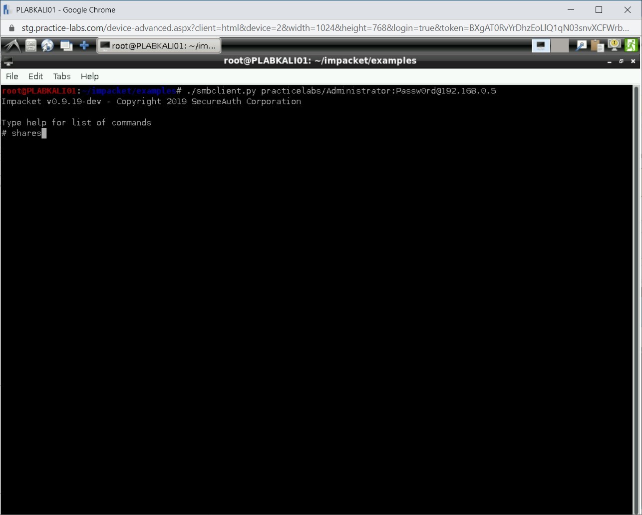 Figure 1.104 Screenshot of PLABKALI01
