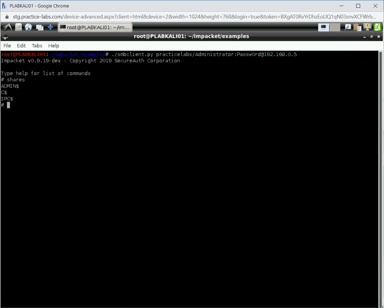 Figure 1.105 Screenshot of PLABKALI01