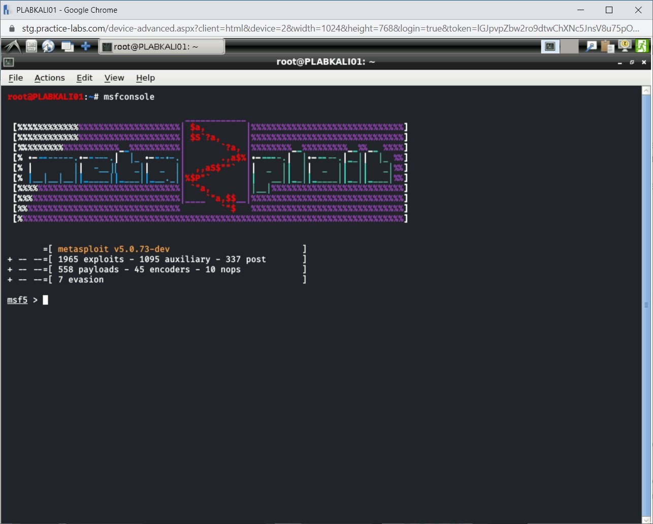 Figure 1.10 Screenshot of PLABKALI01