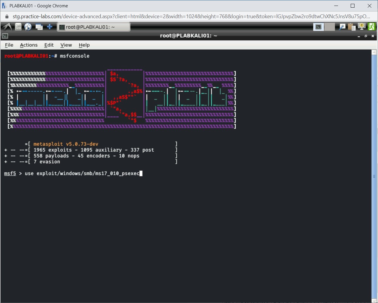 Figure 1.11 Screenshot of PLABKALI01