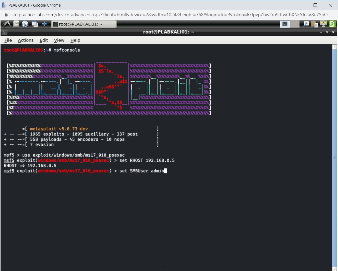 Figure 1.13 Screenshot of PLABKALI01