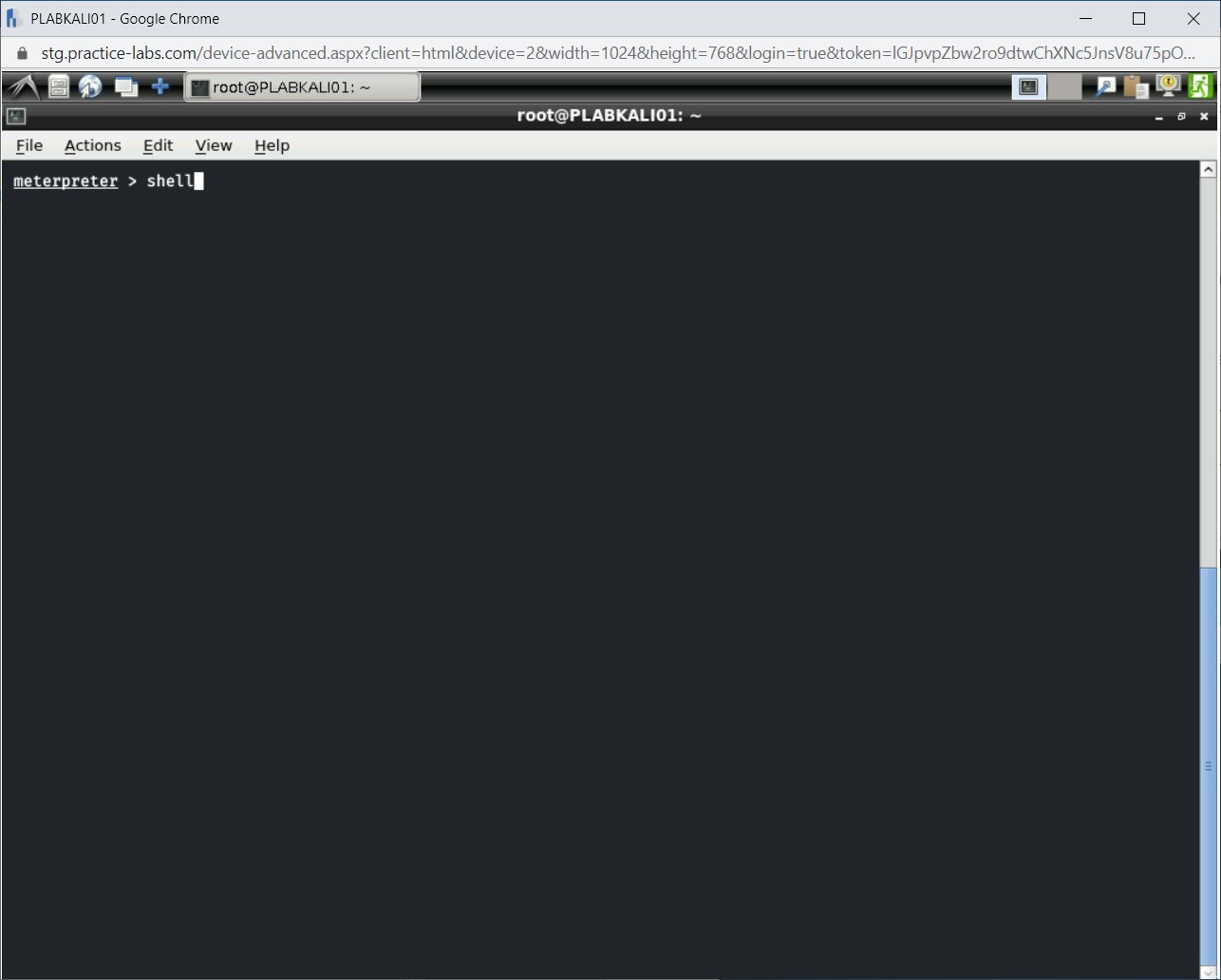Figure 1.17 Screenshot of PLABKALI01