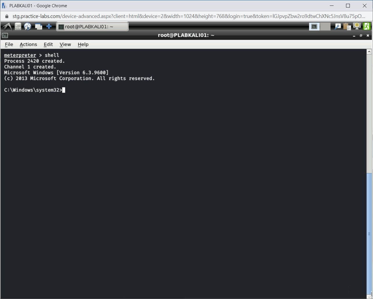 Figure 1.18 Screenshot of PLABKALI01