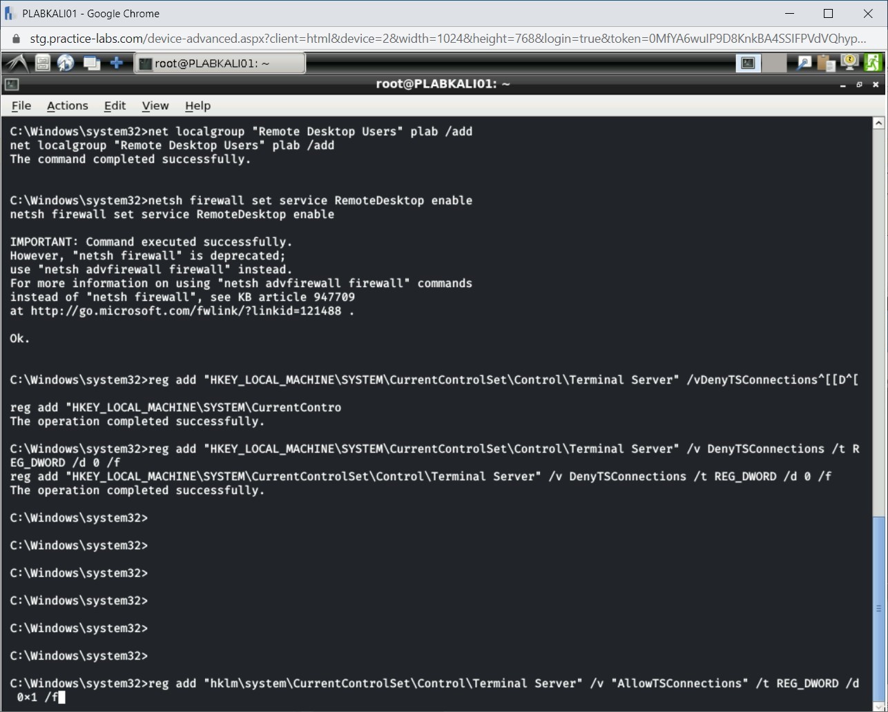 Figure 1.28 Screenshot of PLABKALI01